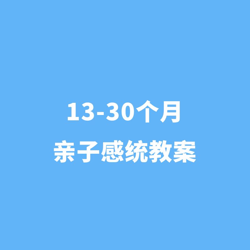 13-30个月亲子感统教案