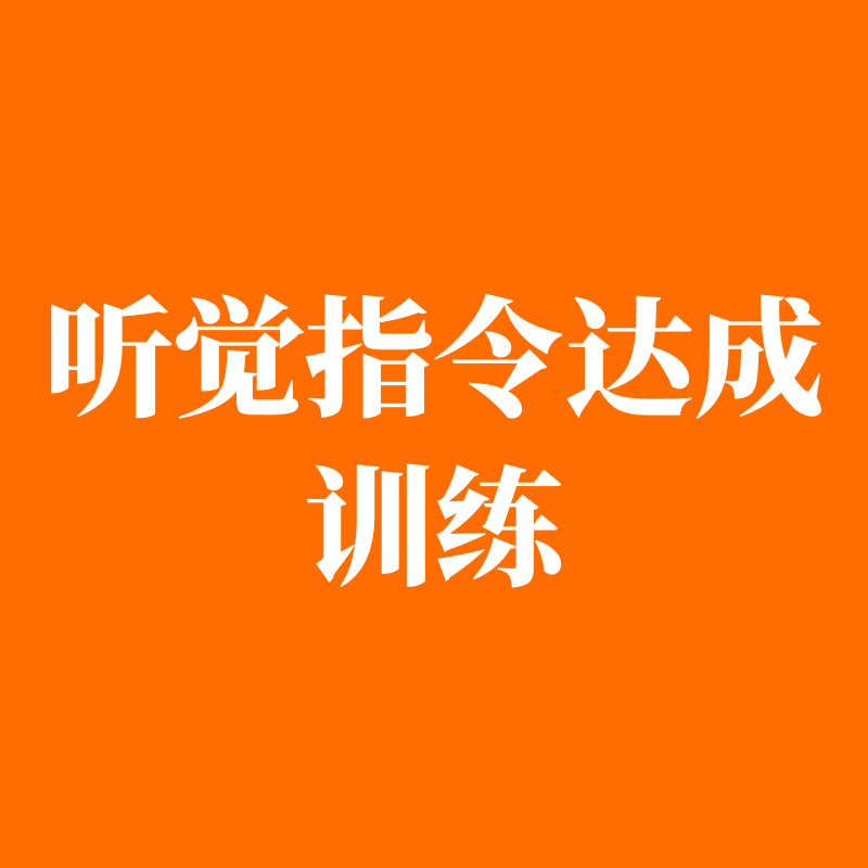 听觉专注力指令达成训练基地