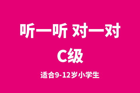 听一听 对一对C级