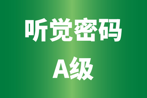 听觉密码A级