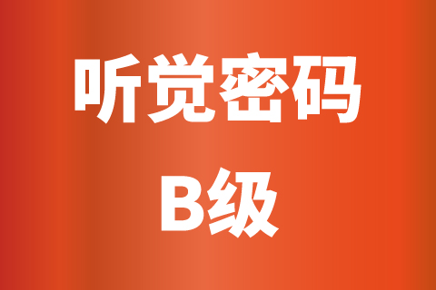 听觉密码B级