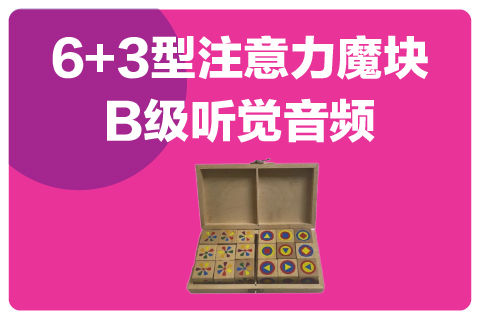 6+3魔块B级配套听觉专注力音频