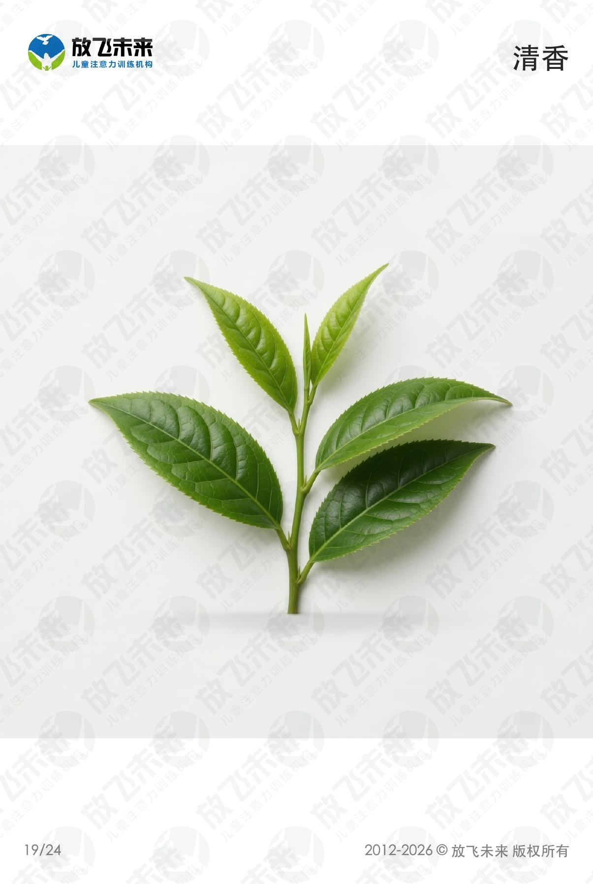 味觉和嗅觉卡 · 儿童认知系列图卡