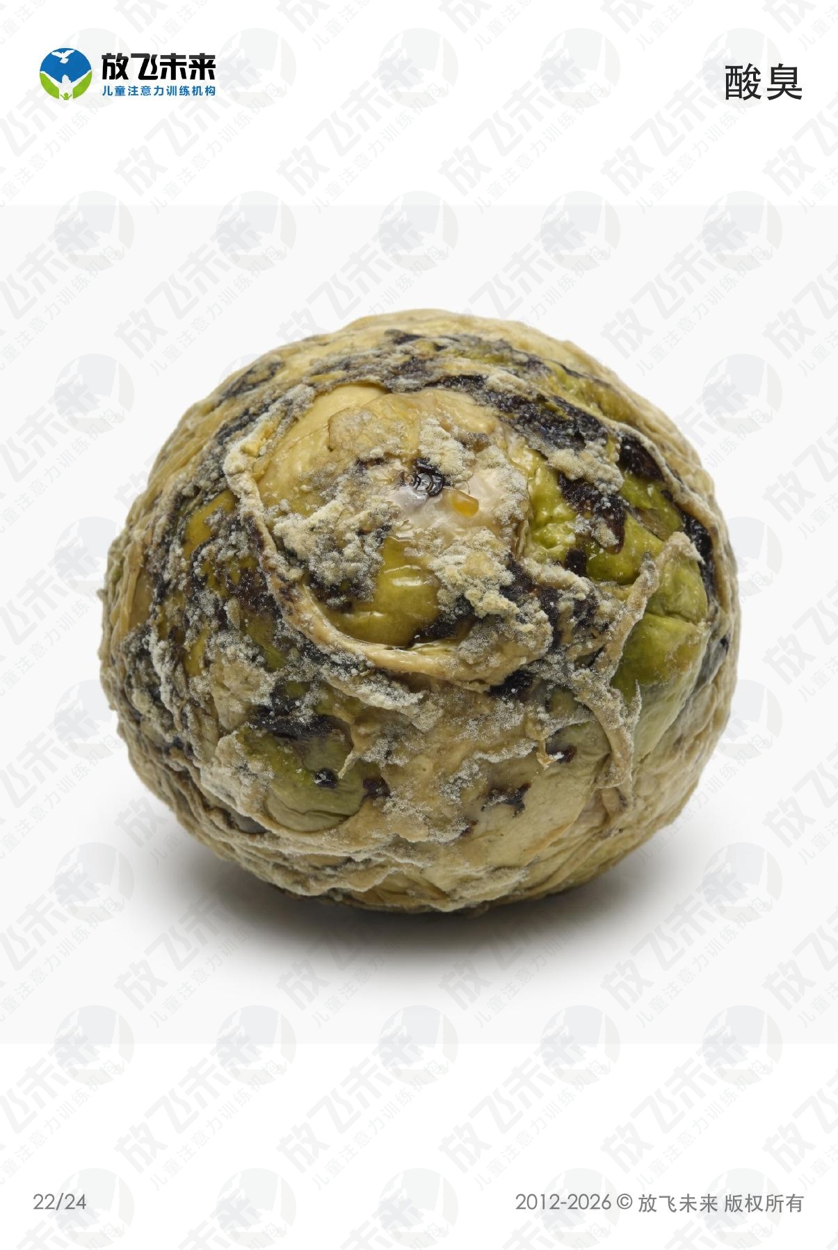 味觉和嗅觉卡 · 儿童认知系列图卡