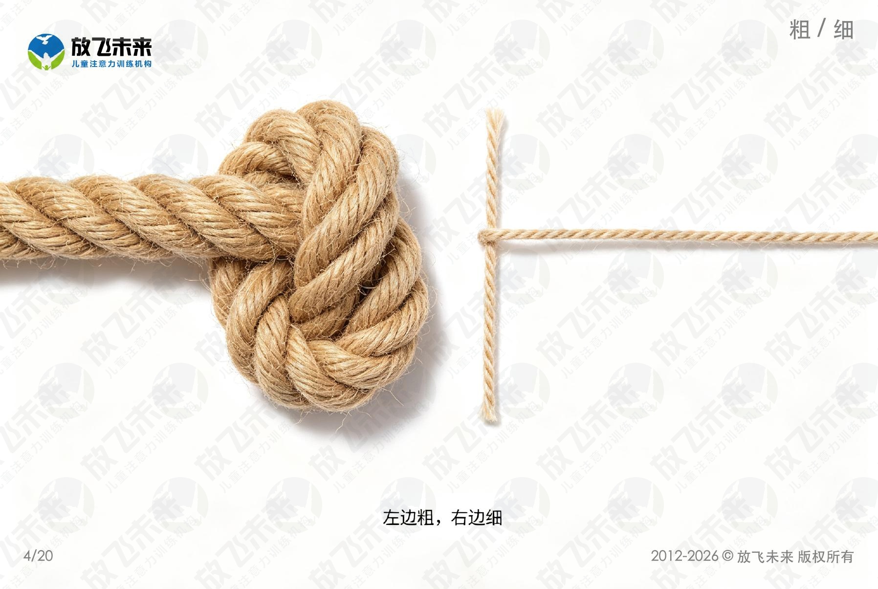 对比卡 — 儿童认知系列图卡