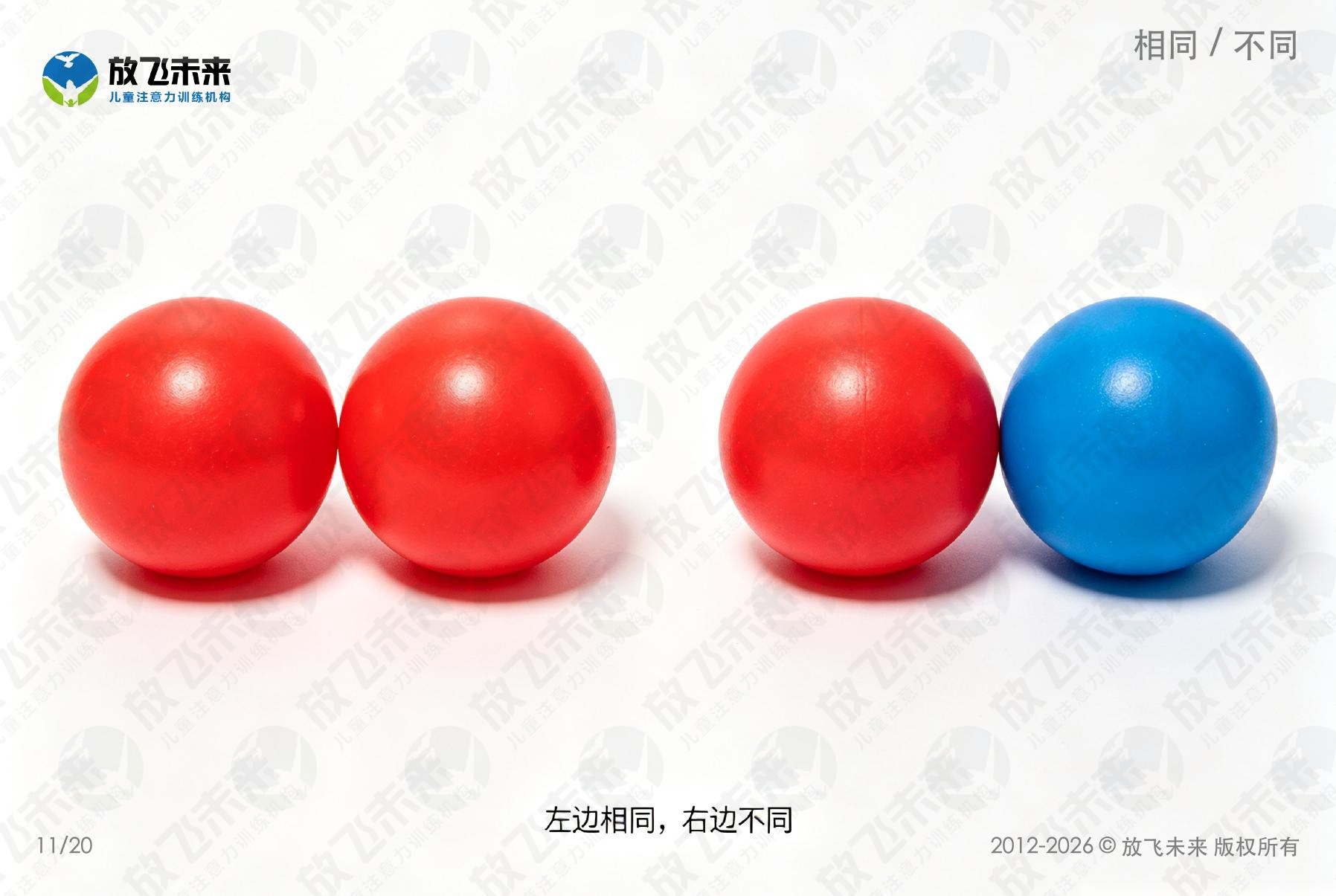 对比卡 — 儿童认知系列图卡