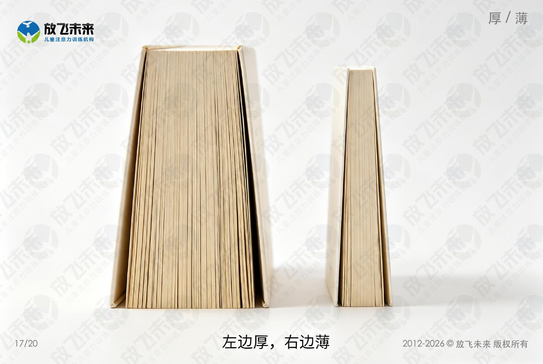 对比卡 — 儿童认知系列图卡
