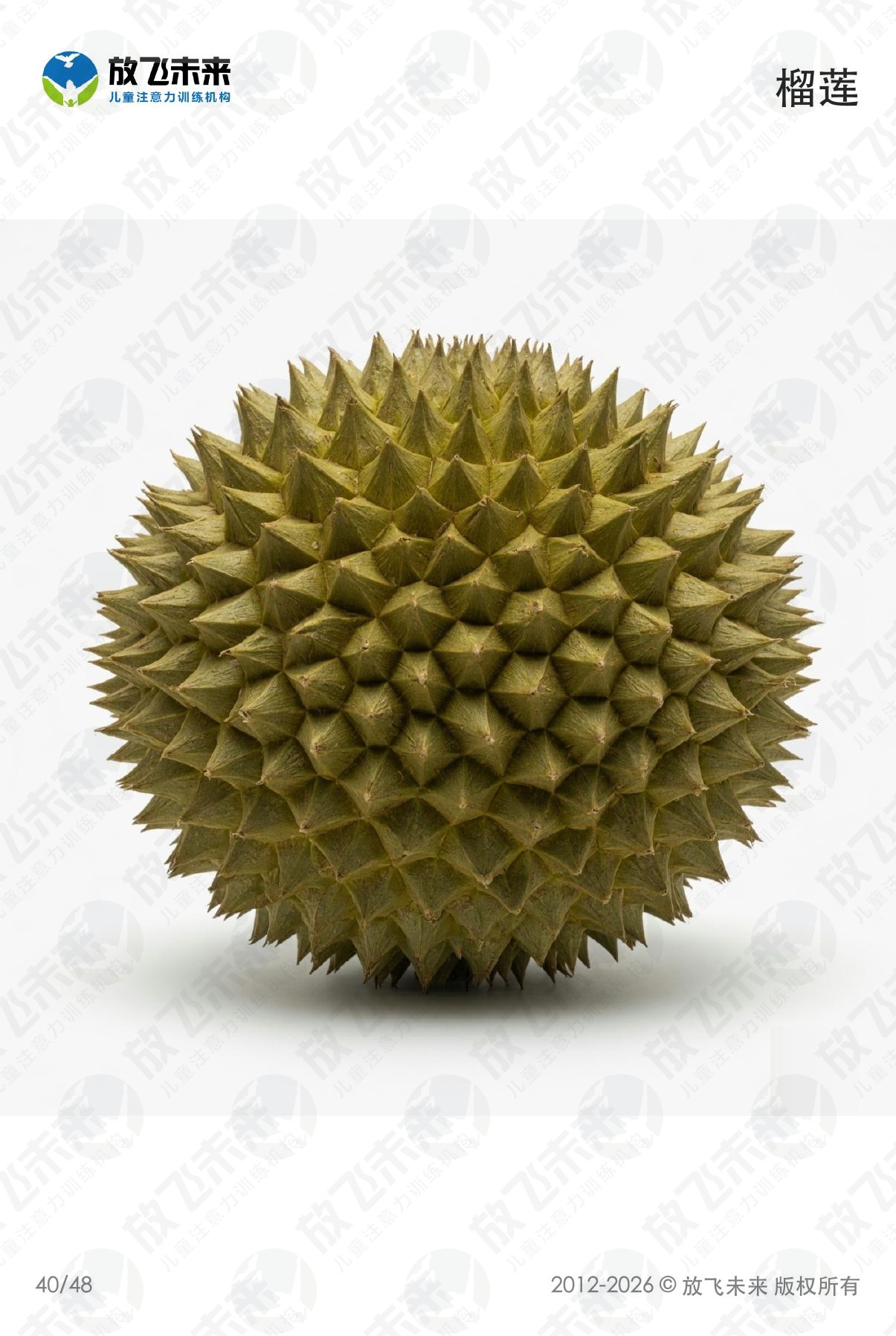 水果卡 · 儿童认知系列图卡