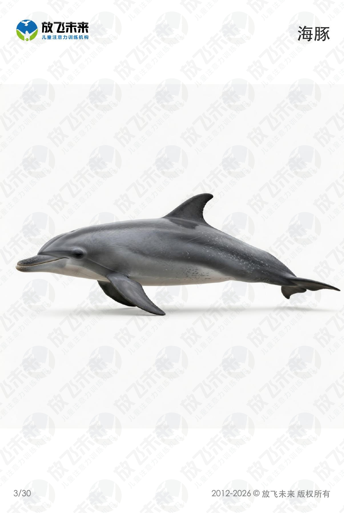 海洋生物卡 · 儿童认知系列图卡