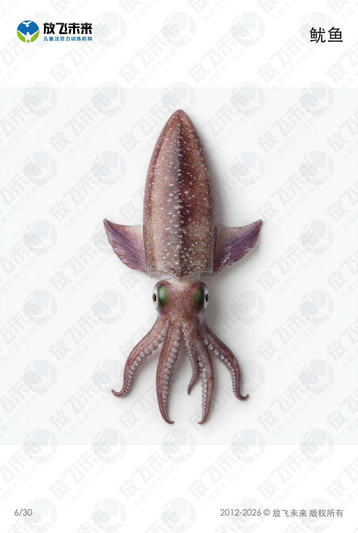 海洋生物卡 · 儿童认知系列图卡