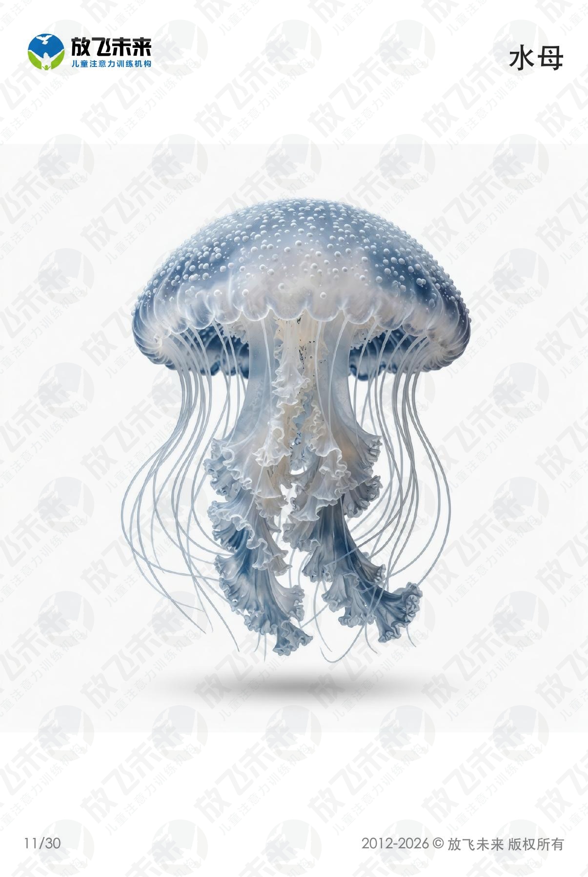 海洋生物卡 · 儿童认知系列图卡