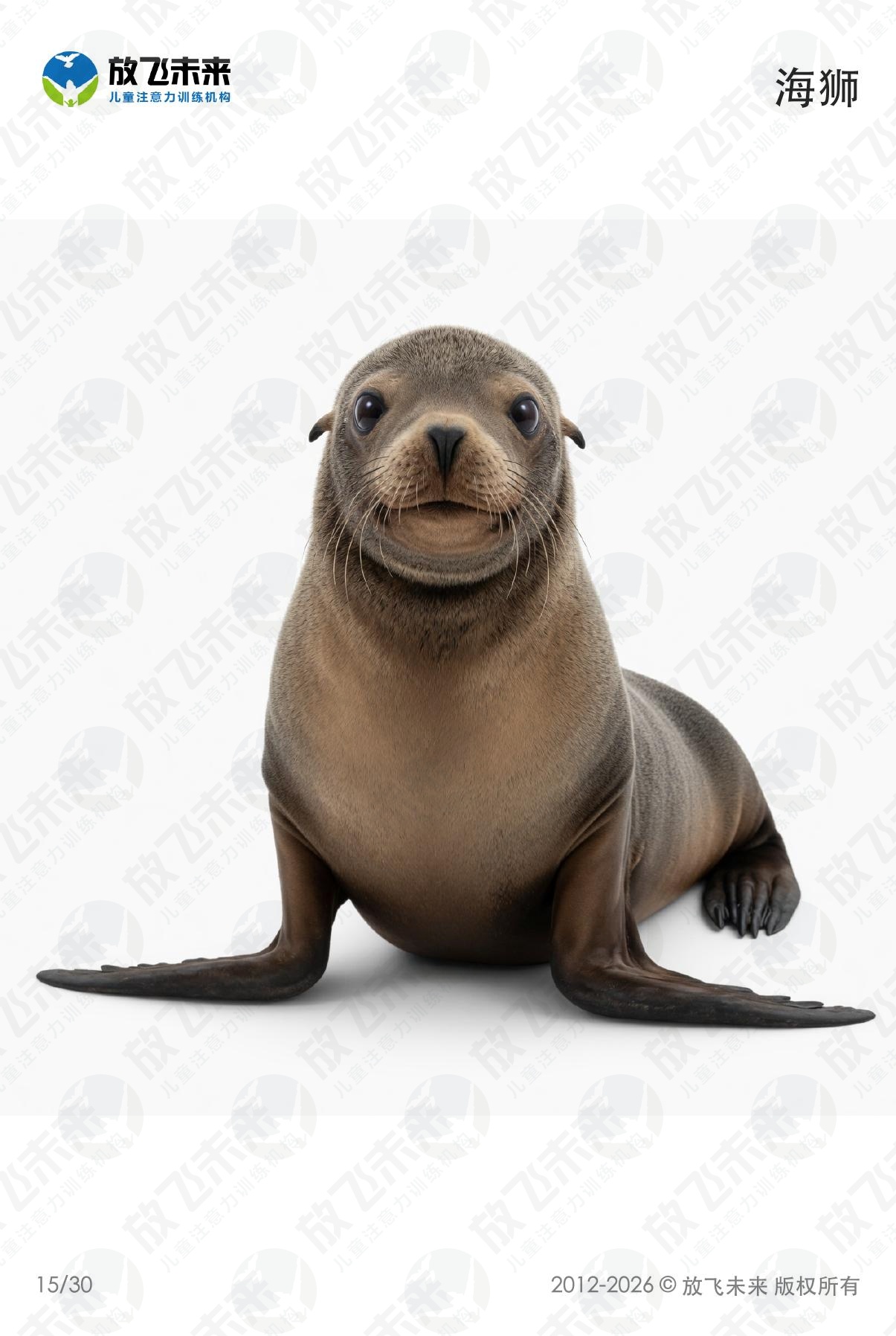 海洋生物卡 · 儿童认知系列图卡