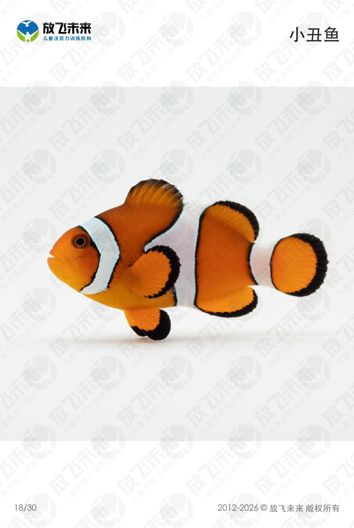 海洋生物卡 · 儿童认知系列图卡
