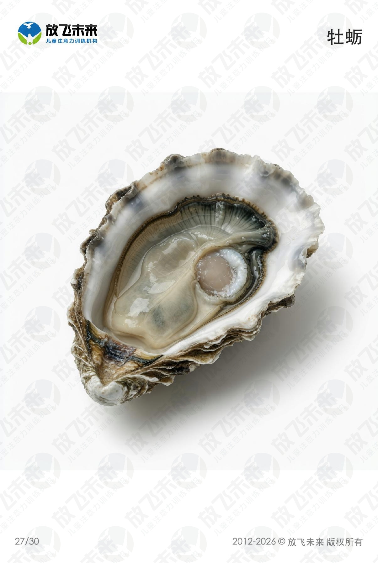 海洋生物卡 · 儿童认知系列图卡