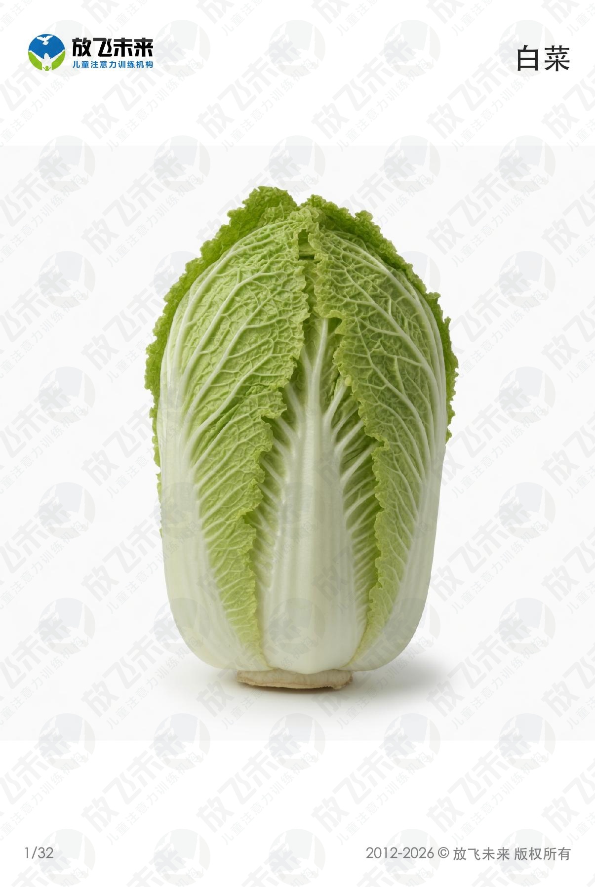 蔬菜卡 · 儿童认知系列图卡