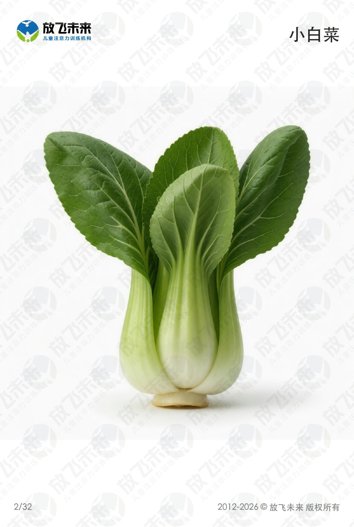 蔬菜卡 · 儿童认知系列图卡