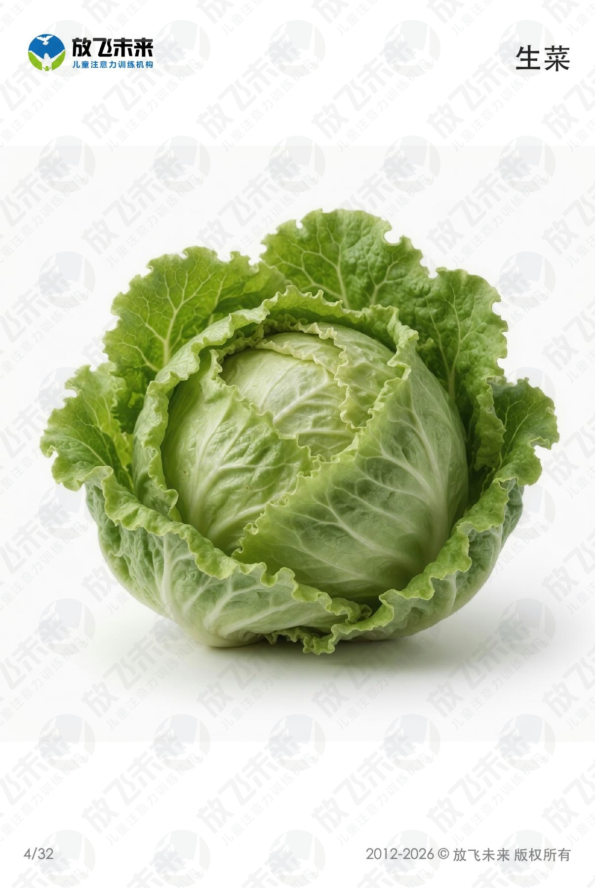 蔬菜卡 · 儿童认知系列图卡