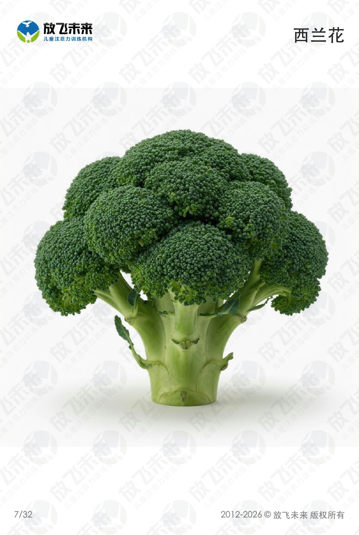 蔬菜卡 · 儿童认知系列图卡