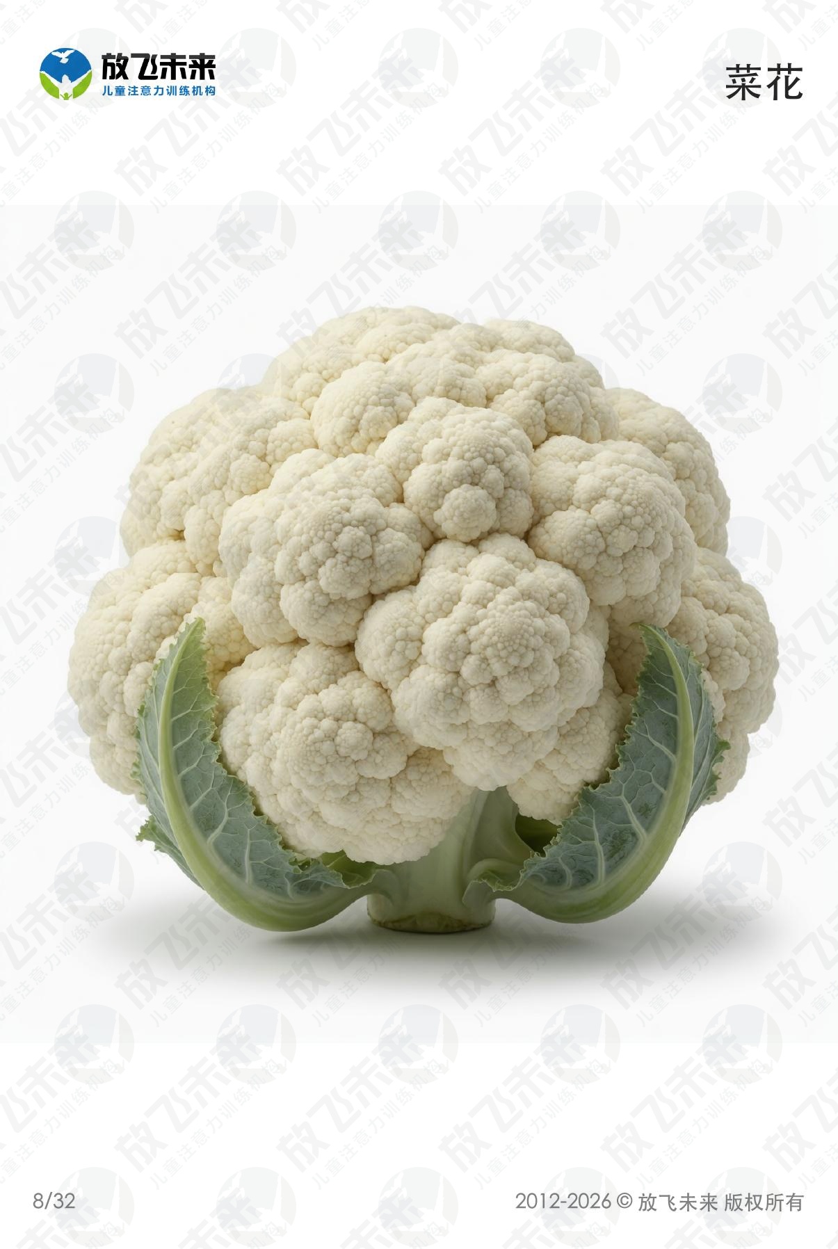 蔬菜卡 · 儿童认知系列图卡