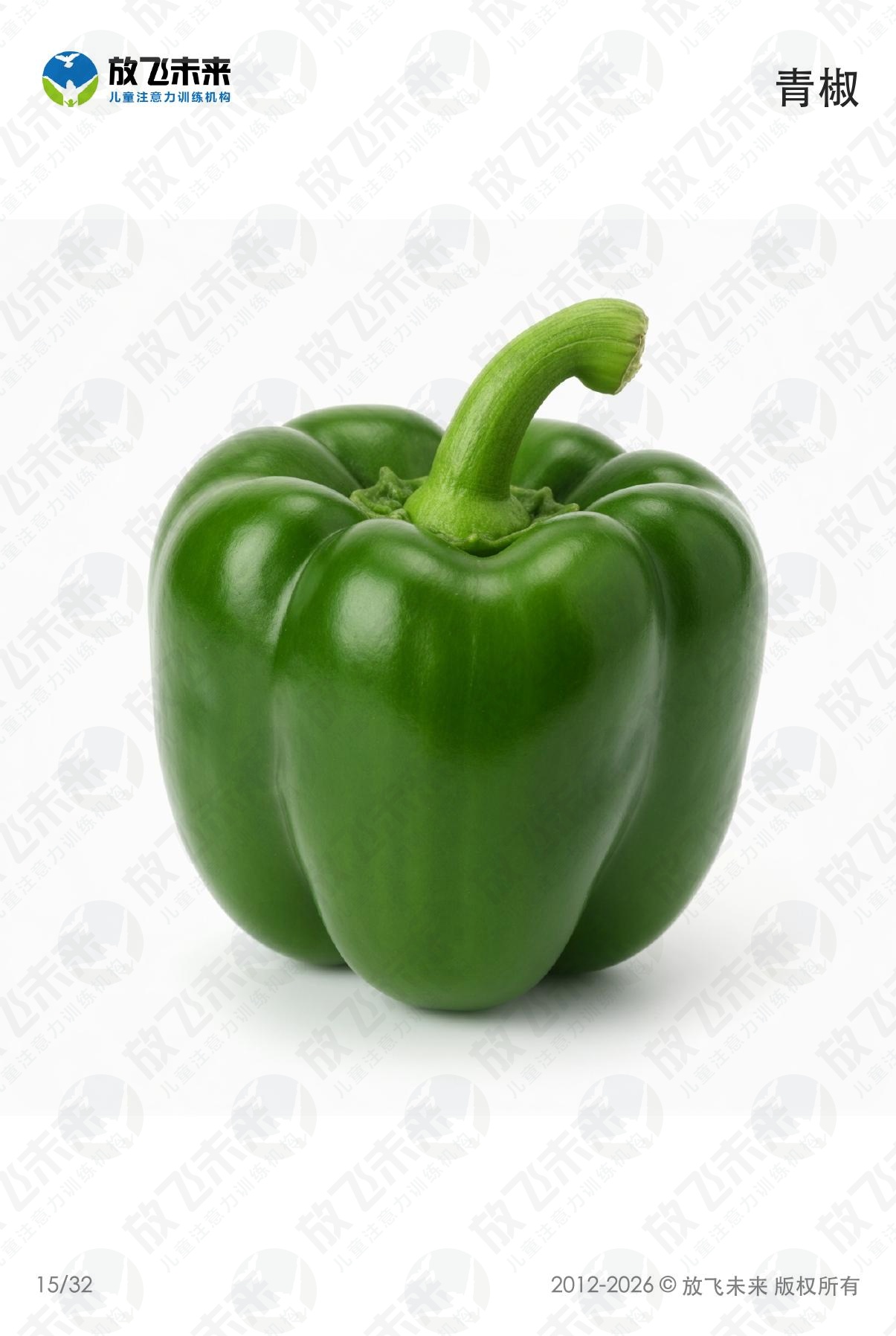 蔬菜卡 · 儿童认知系列图卡