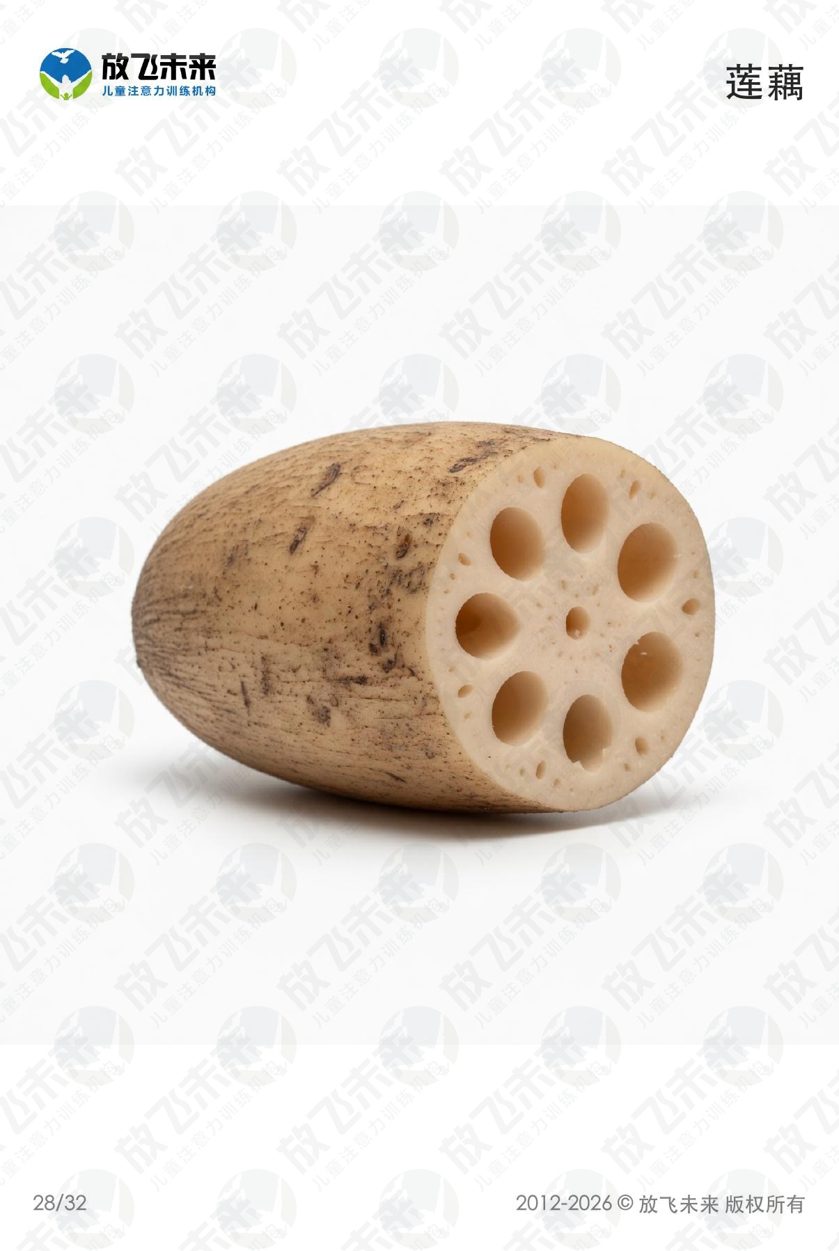 蔬菜卡 · 儿童认知系列图卡