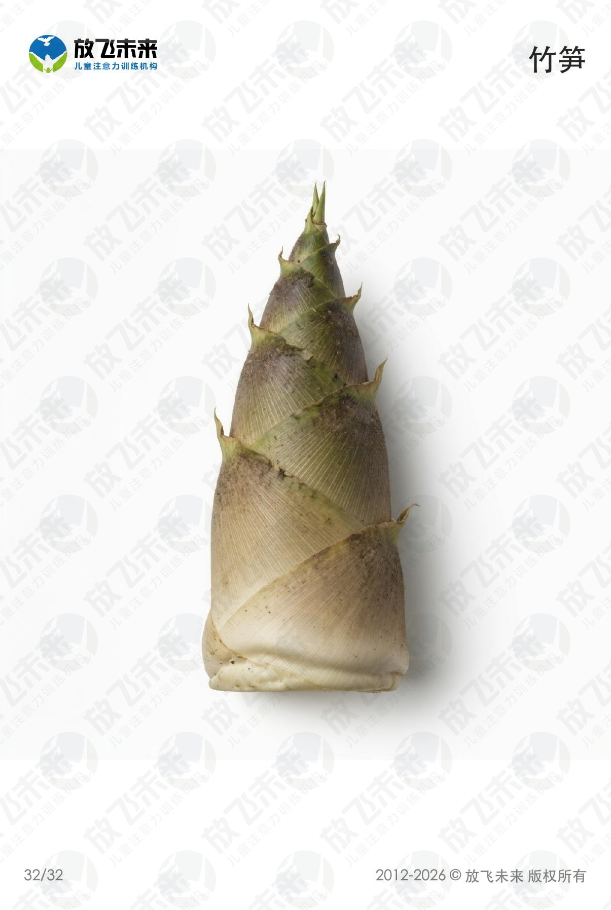 蔬菜卡 · 儿童认知系列图卡