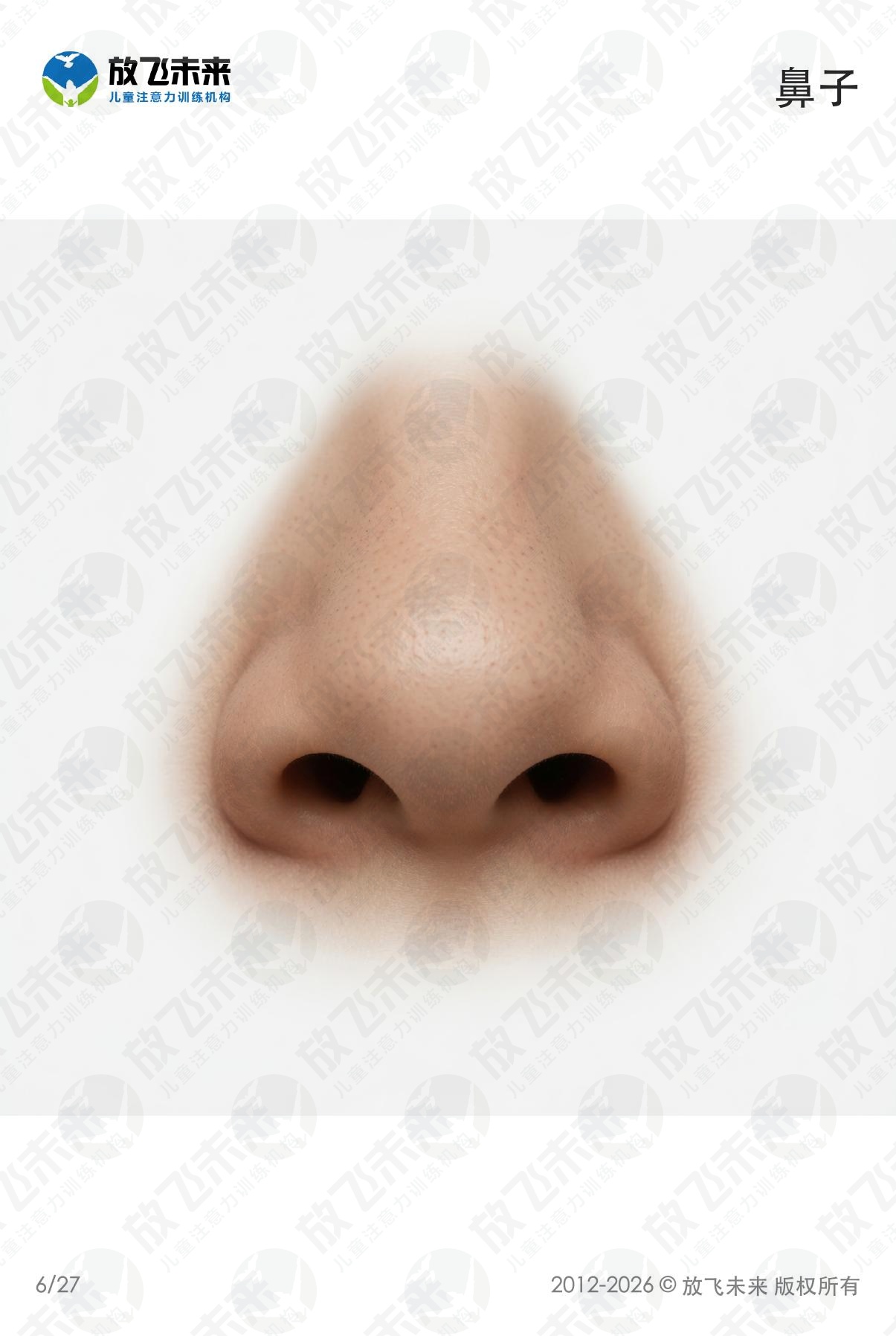身体部位卡 · 儿童认知系列图卡