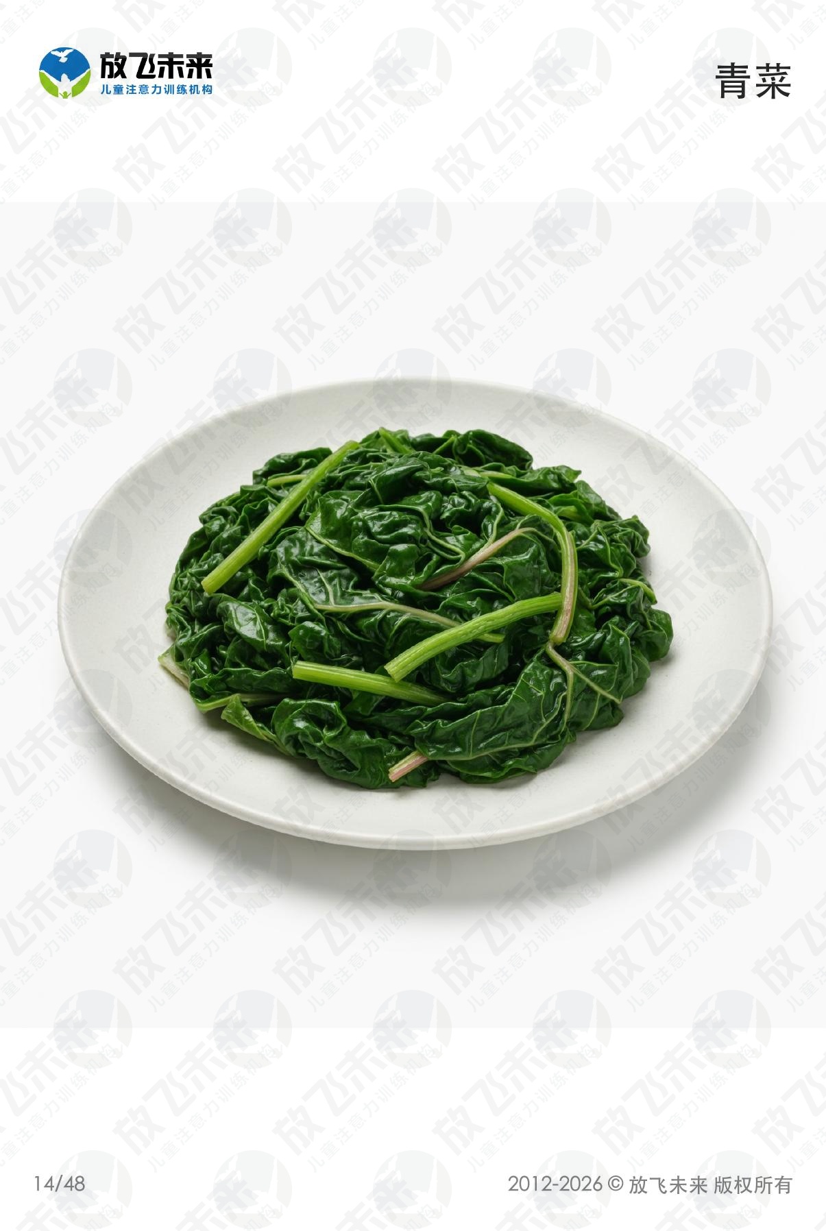 食物卡 · 儿童认知系列图卡