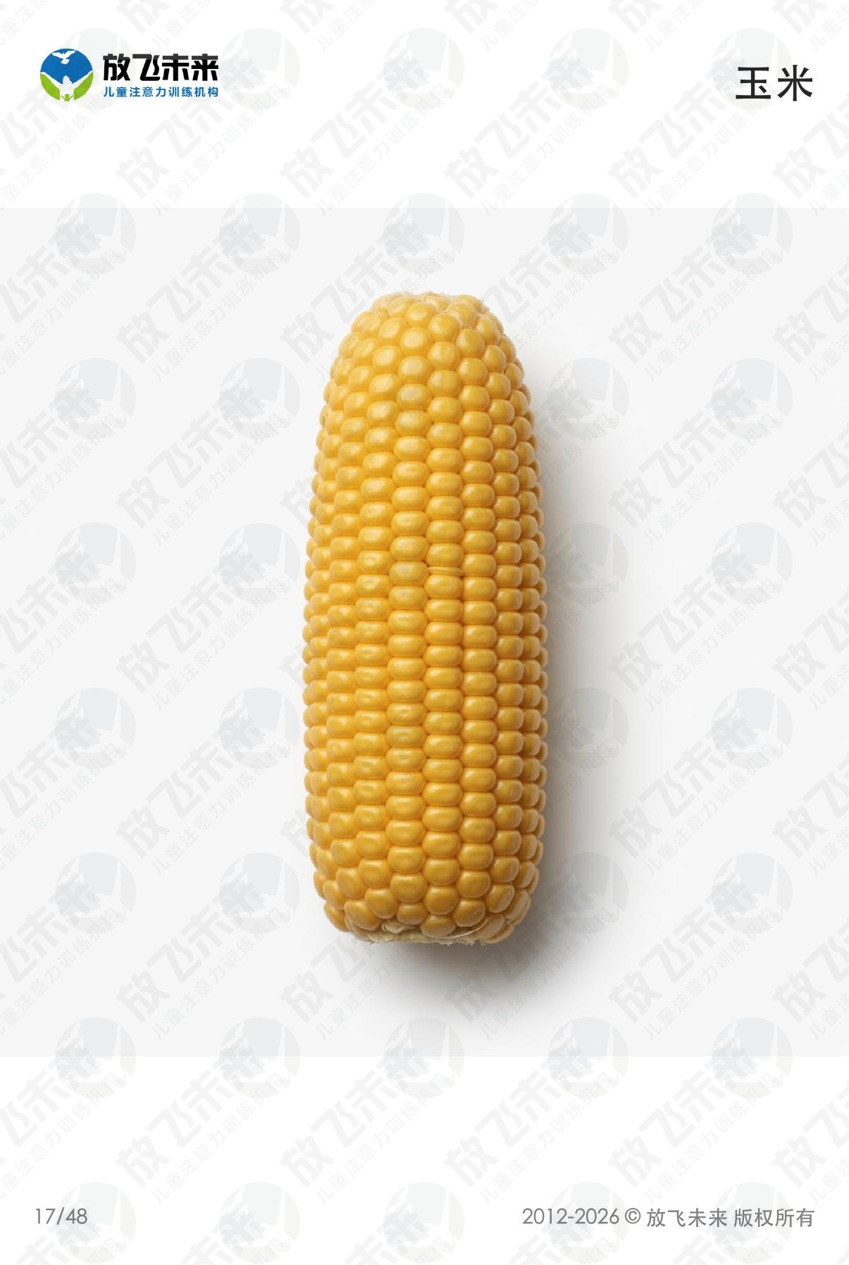 食物卡 · 儿童认知系列图卡