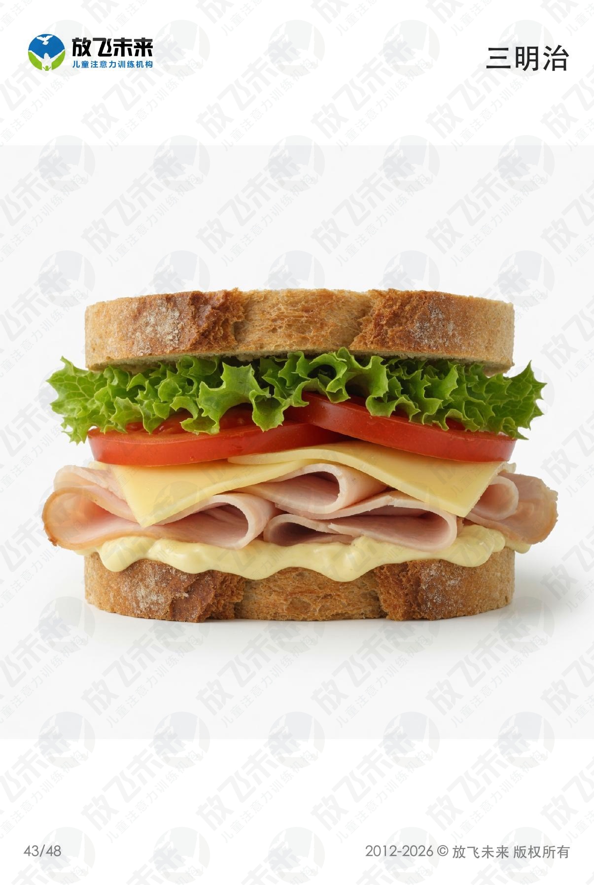 食物卡 · 儿童认知系列图卡