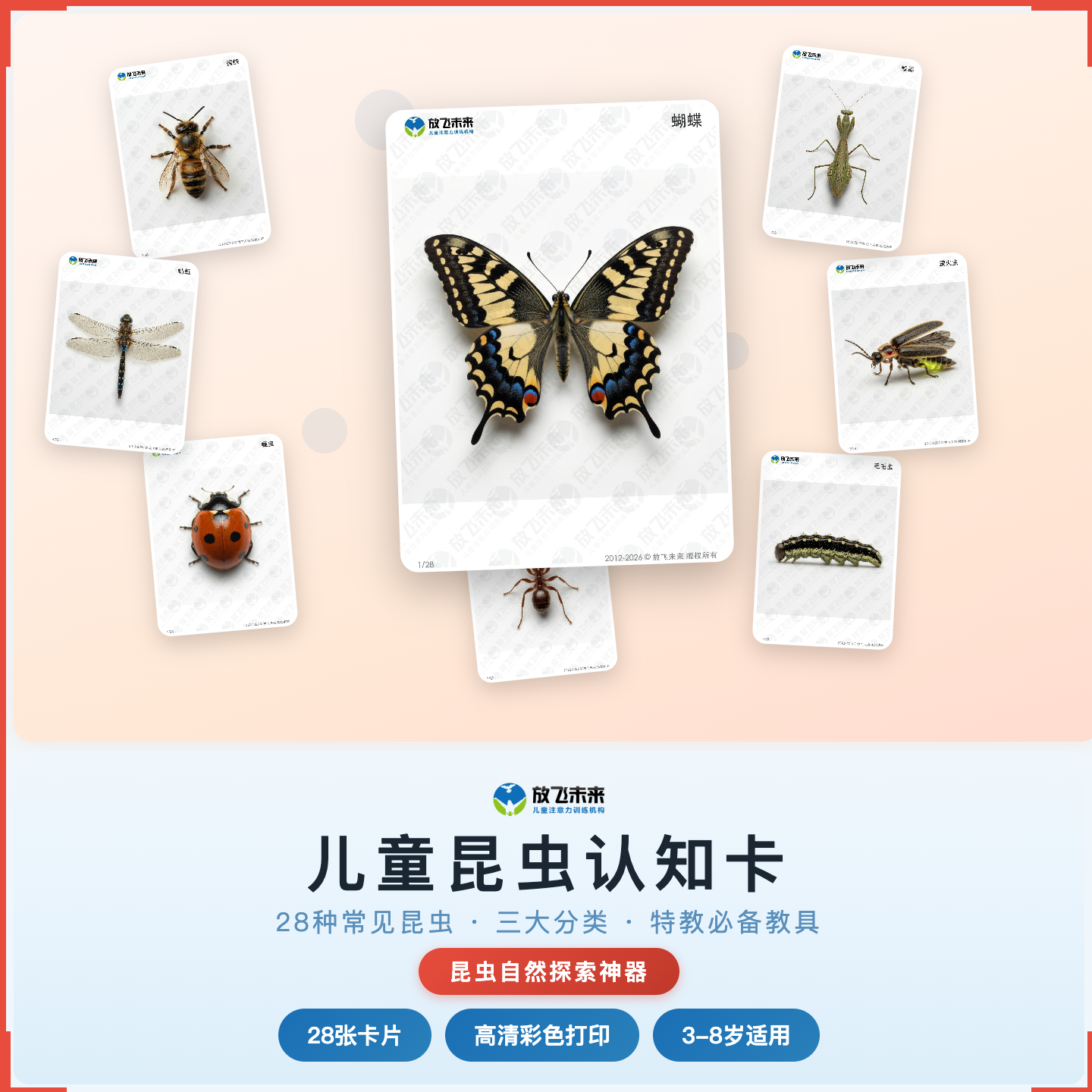 《儿童昆虫认知卡》如何帮助孩子从“不认识身边的小虫子”走向准确辨认、主动观察，科学训练昆虫认知与自然探索