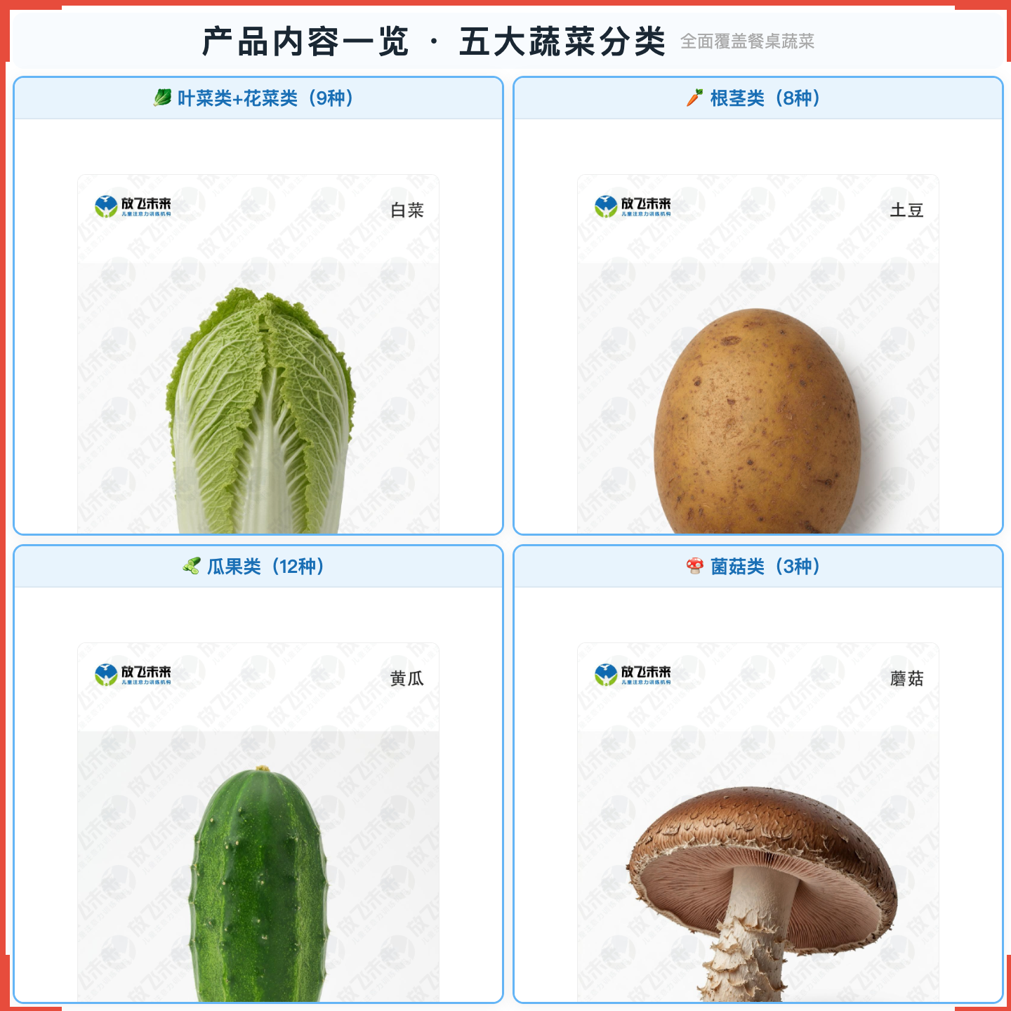 《儿童蔬菜认知卡》如何帮助孩子从“不认识餐桌上的蔬菜”走向准确辨认、主动尝试，科学训练蔬菜认知与健康饮食