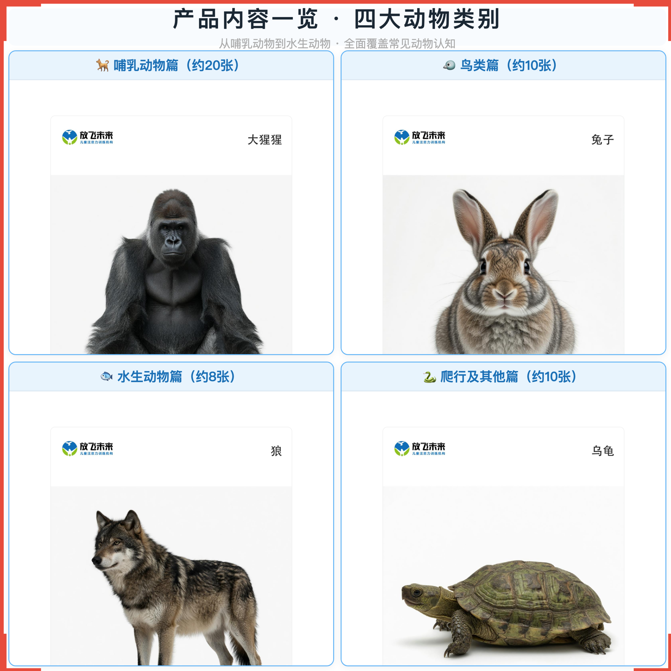 《动物卡》如何帮助孩子从“认不清、说不出”走向准确辨认、丰富表达，科学训练动物认知与命名表达