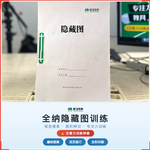 《全纳隐藏图》训练如何帮助孩子提升搜索效率与抗干扰能力,科学训练视觉搜索与图形辨识