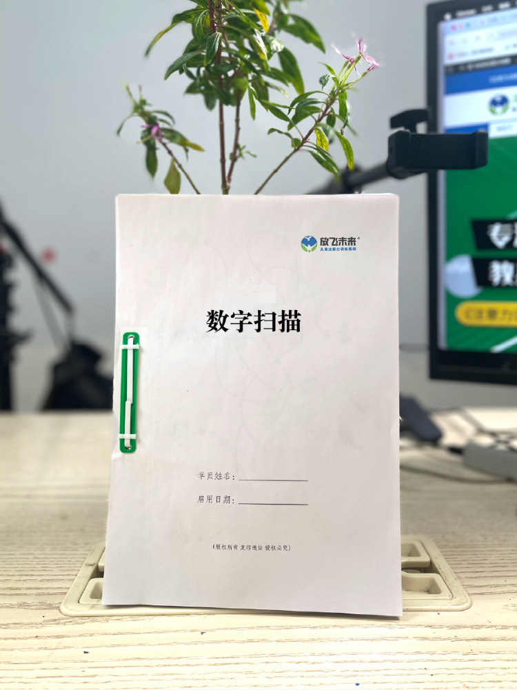 《数字扫描》训练如何帮助孩子减少看错数字，科学训练视觉分辨与数字辨识