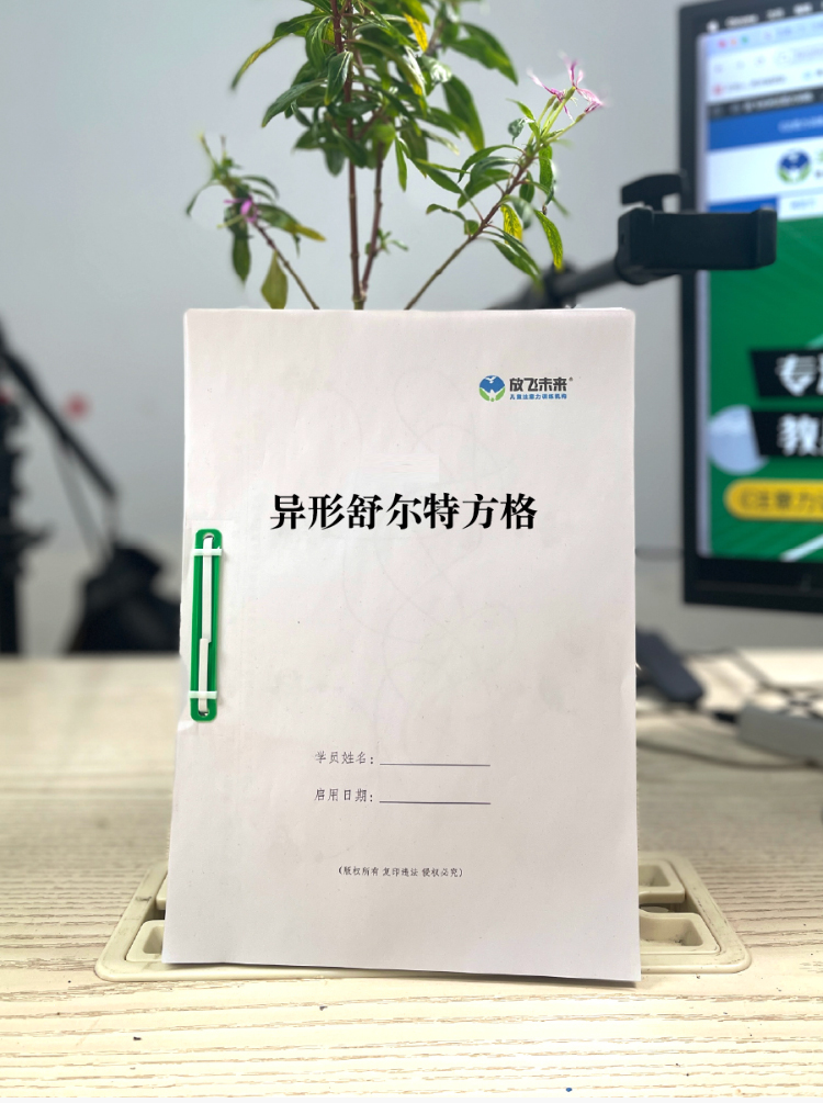《异形舒尔特》如何帮助孩子提升搜索效率与阅读视幅，科学训练视觉搜索与注意力广度